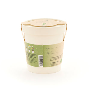 Pot de fleurs beige avec étiquette verte, champs de texte « de : » et « pour : » et description et dessins des plantes au dos.