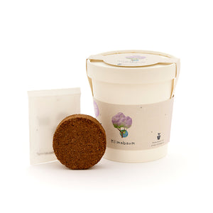 Kit de plantation avec godet de culture, pastille de terreau et sachet de graines pour arbre climatique.