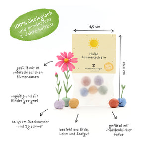 Emballage avec des boules de graines colorées, à côté de plantes dessinées à la main et de textes explicatifs en allemand sur des propriétés telles que biologique, non toxique, rempli de 19 graines de fleurs et la taille des boules de graines.