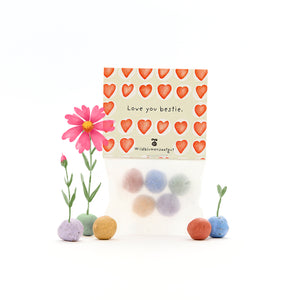 Sac de graines de fleurs sauvages, décoré de cœurs rouges et des mots « Love you bestie », entouré de boules de graines colorées et de petites fleurs en fleurs.