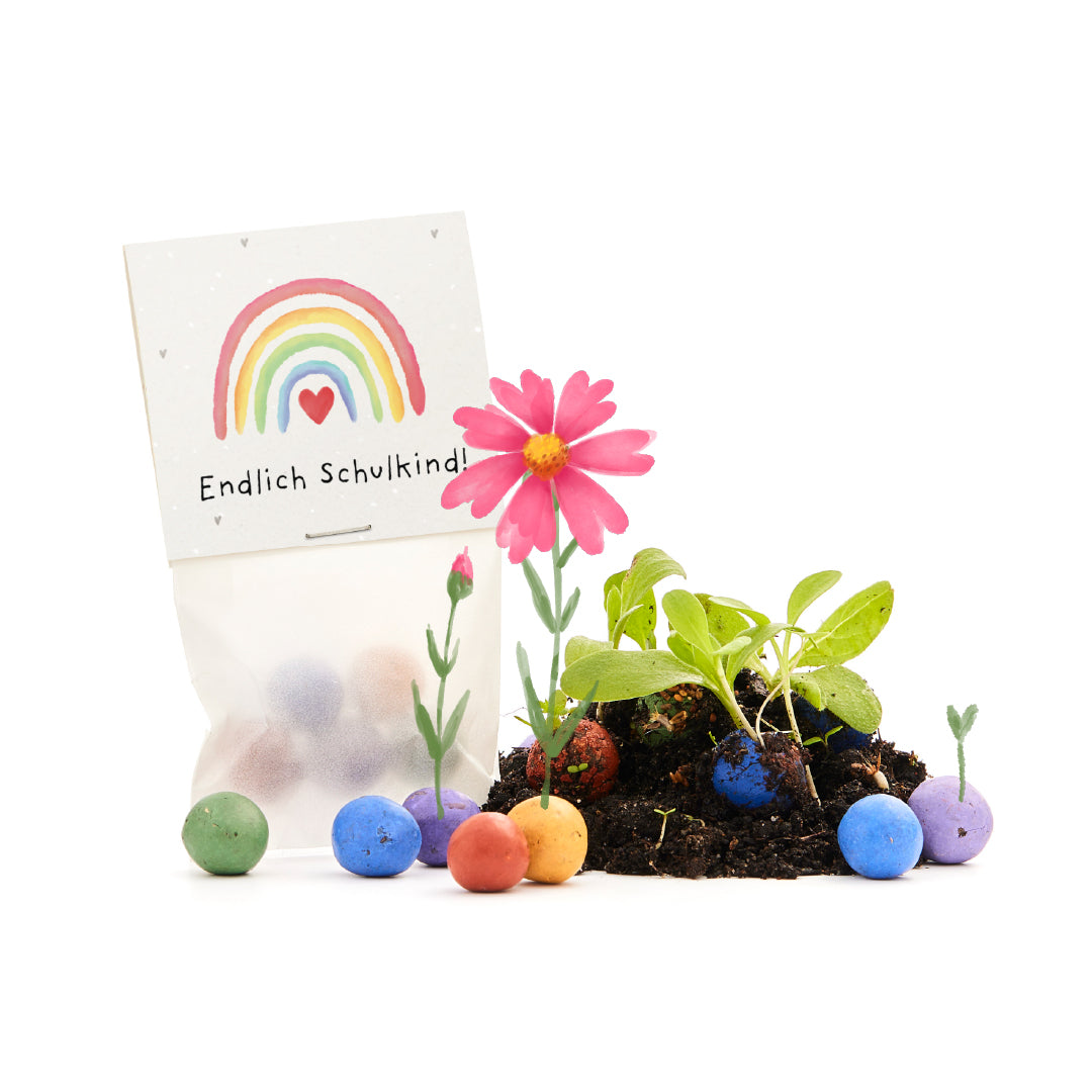 5 billes de fleurs dans un sac pour le premier jour d'école « Enfin un écolier »