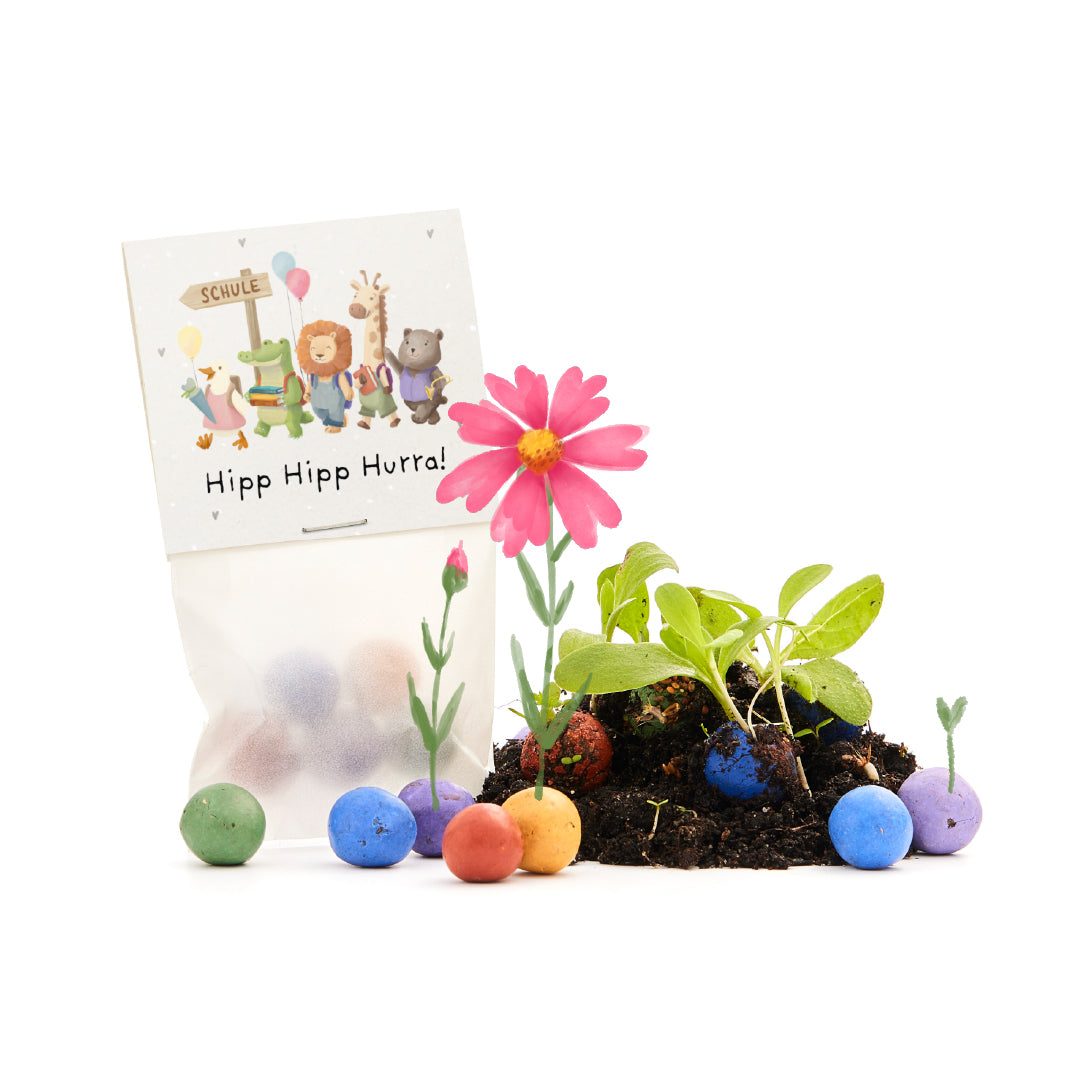 5 billes de fleurs dans un sac pour l'inscription à l'école "Hipp Hipp Hourra !"