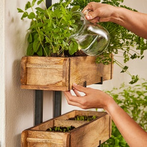 Une personne verse de l'eau dans des jardinières suspendues avec des herbes sur un mur.