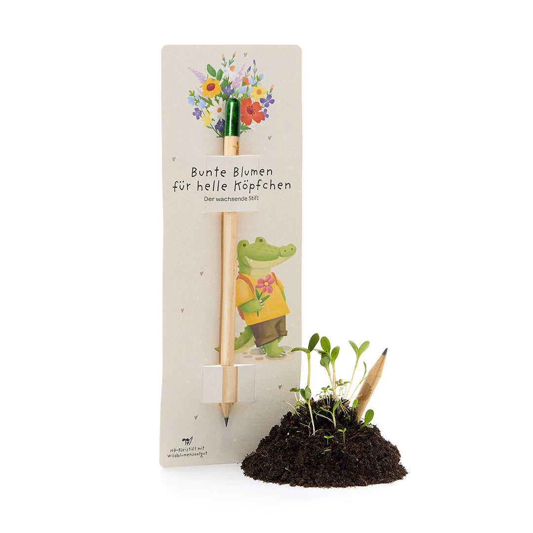 Crayon qui pousse avec capsule de graines - Crayon fleur