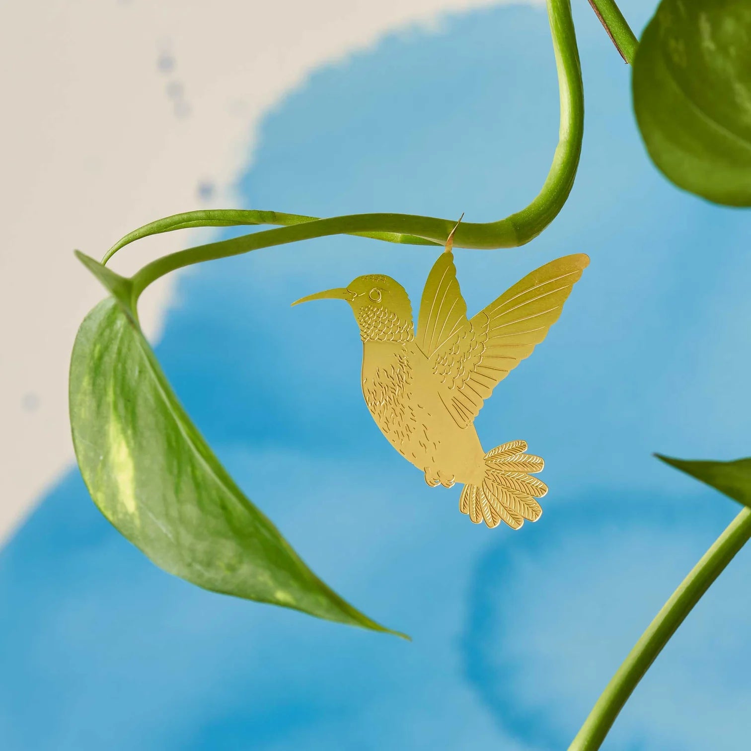 Colibri animal végétal