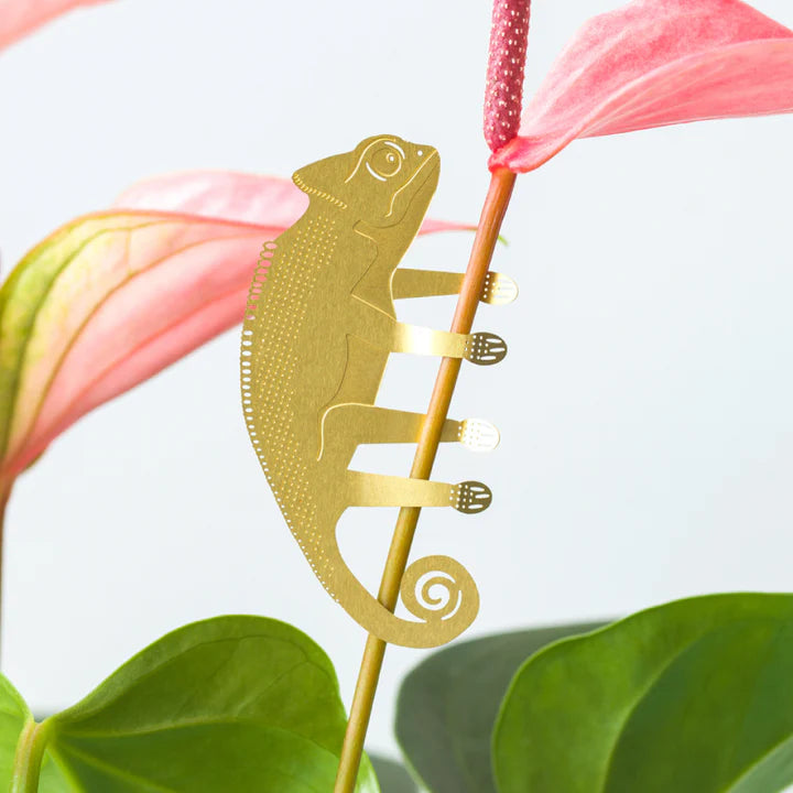 Caméléon animal végétal