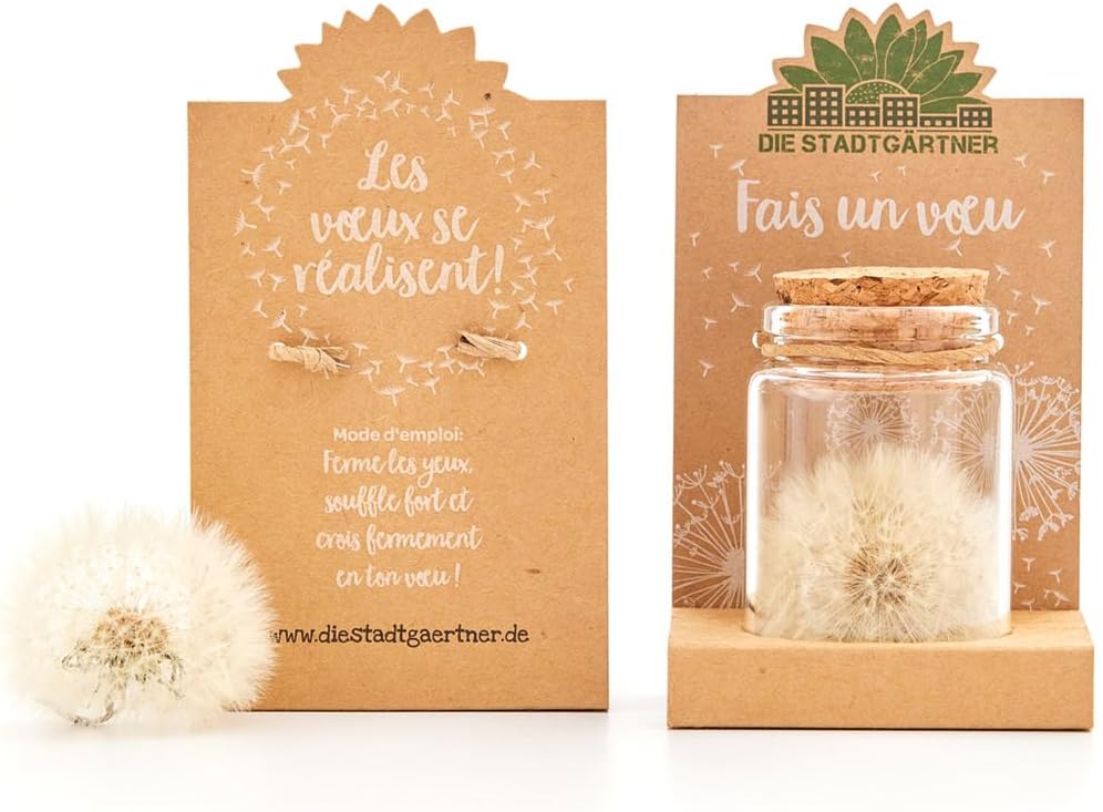 Exauceur de voeux - Véritable pissenlit en verre