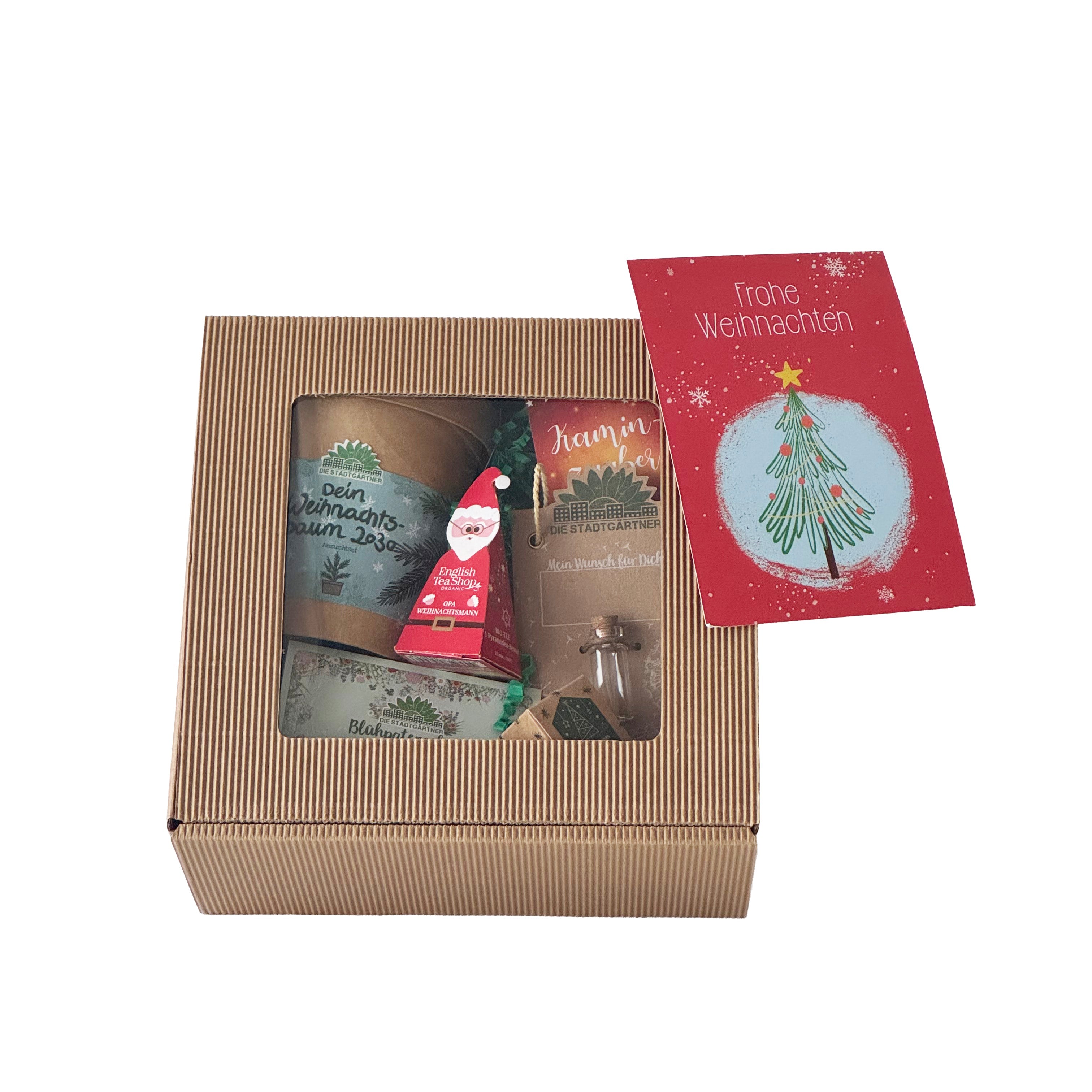 Boîte cadeau - Noël - Taille M