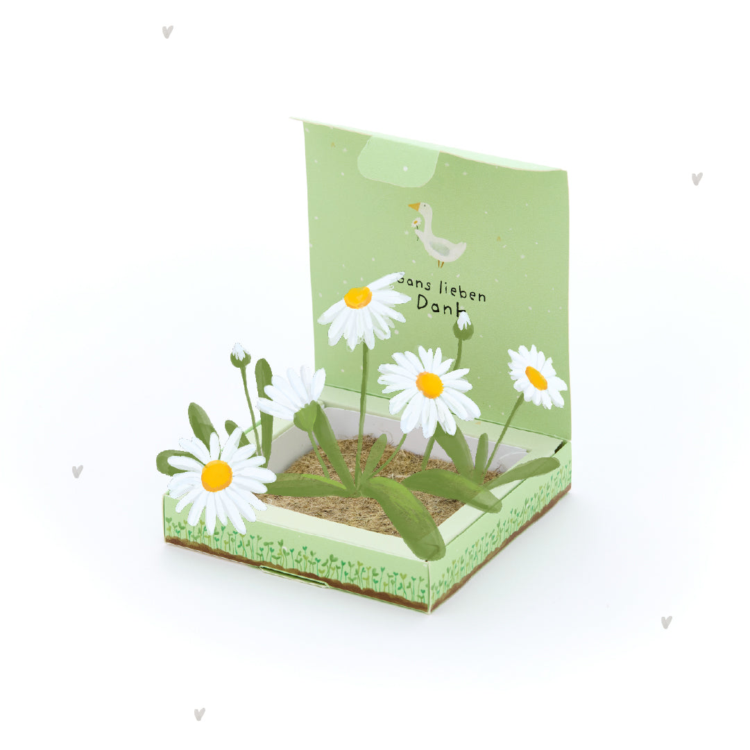 Planteur - Merci beaucoup