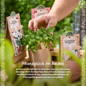 Plusieurs kits de jardin miniatures avec des plantes et des graines dans des sacs bruns sur une table en bois, une main touchant un plant de basilic vert.