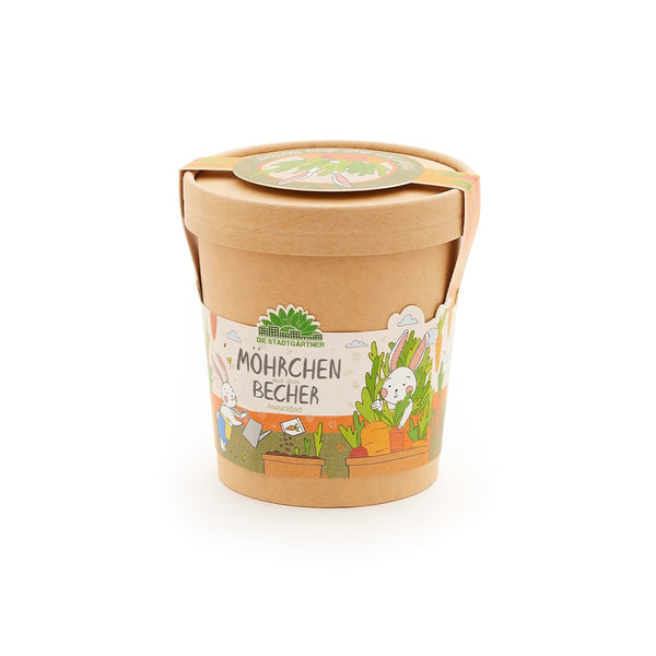 Tasses de carottes - tout ce dont vous avez besoin pour commencer à cultiver immédiatement