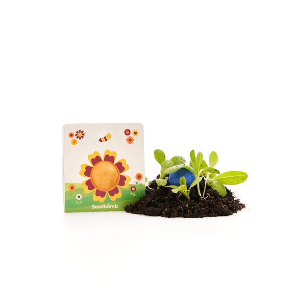 Un paquet de graines avec un motif floral coloré se trouve à cÎté de la terre et de jeunes plantes vertes.