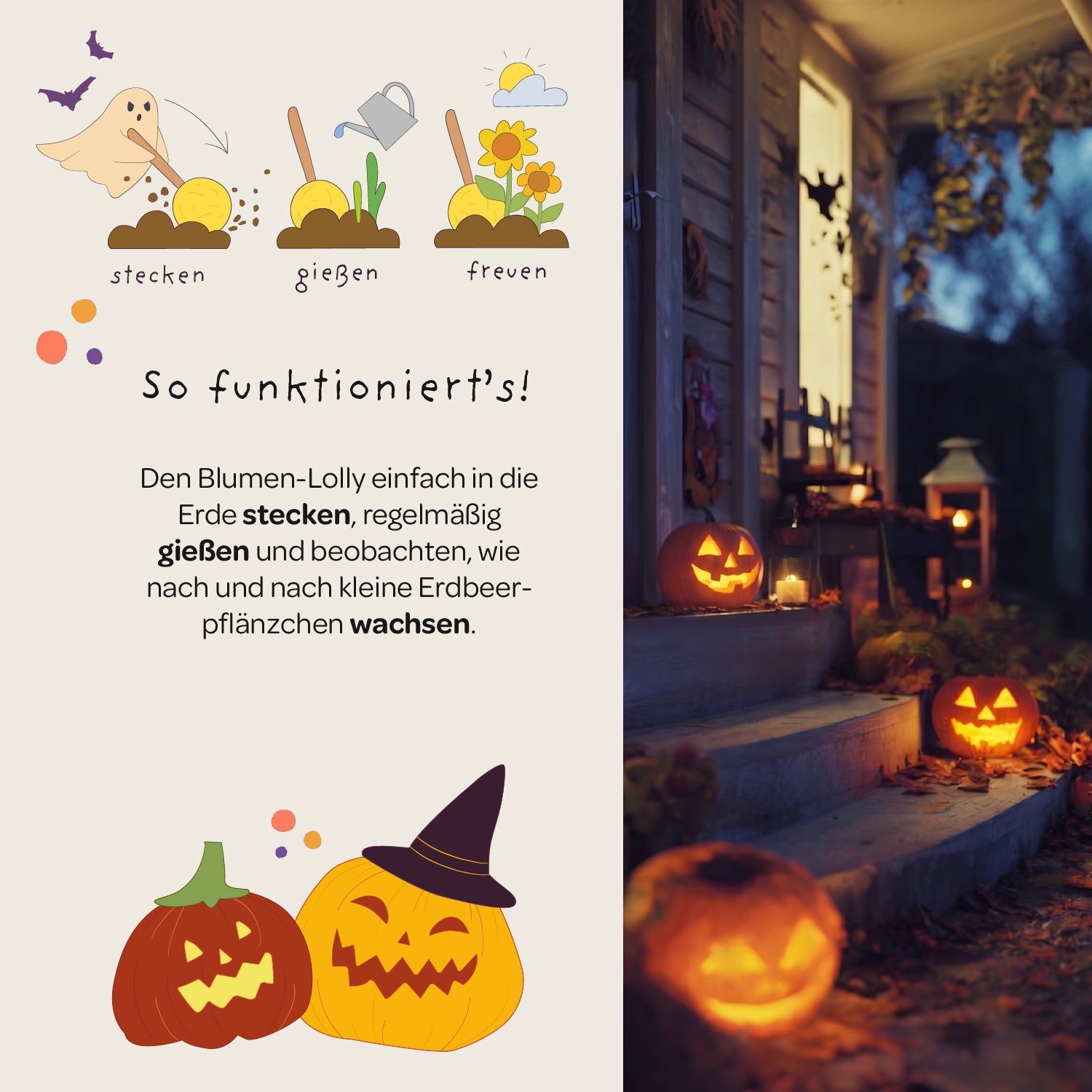 Halloween - sucette fleur - tournesol