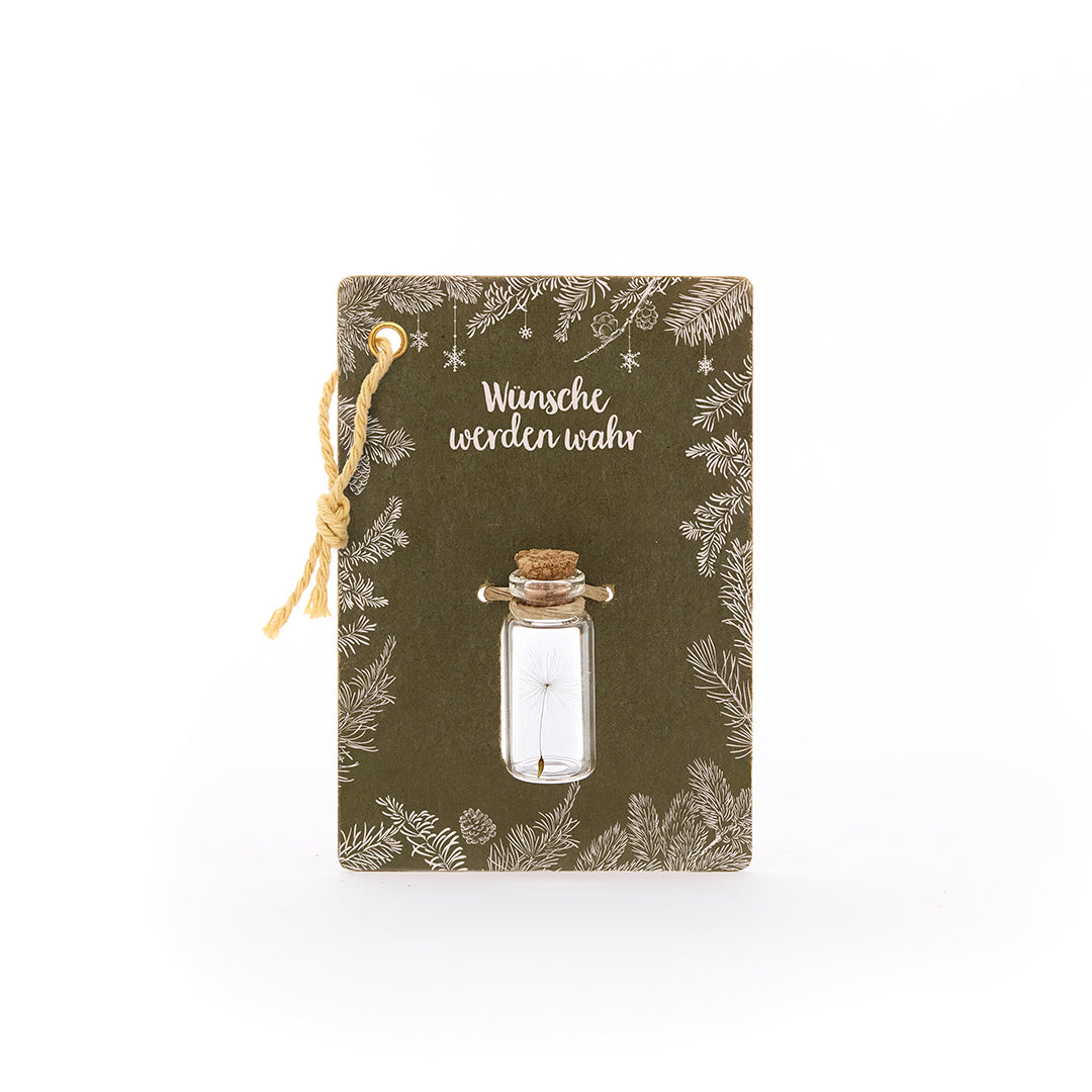 Little Wish Fulfiller - Les vœux se réalisent