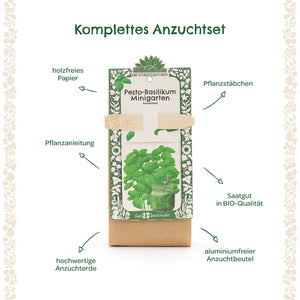 Kit de culture complet pour basilic pesto avec tuteurs de plantation, graines biologiques, papier sans bois, instructions de plantation, terreau de haute qualité et un sac de culture sans aluminium.