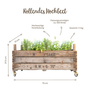 Lit surélevé en bois sur roues planté d'herbes aromatiques, étiqueté avec dimensions (75 x 51 x 37,5 cm), capacité environ 100 litres de terre et poids 7,1 kg.
