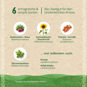 Six graines de légumes biologiques à haut rendement et faciles à cultiver, dont radis, tournesol, tomate, mélisse, cresson et roquette sauvage, sur fond beige avec décoration verte.