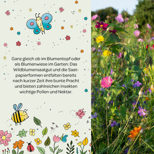 La moitié gauche de l'image montre un texte sur les graines de fleurs sauvages, illustrées de fleurs colorées, de papillons et d'abeilles ; la moitié droite de l'image montre une prairie de fleurs colorées et fleuries dans le jardin.