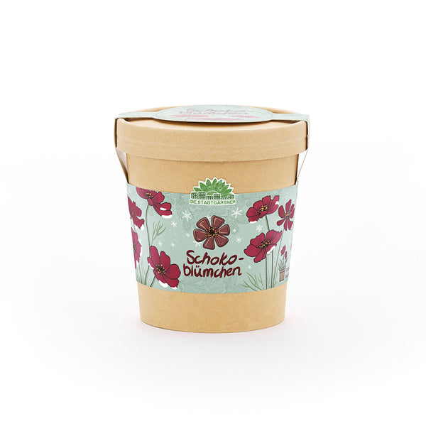 Fleurs en chocolat de la tasse