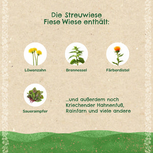 Graphique avec des illustrations et des noms de pissenlit, d'ortie, de carthame et d'oseille, ainsi qu'un texte répertoriant d'autres plantes dans une prairie.