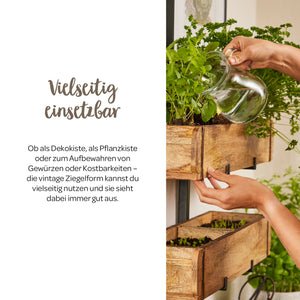 Une personne arrose des herbes aromatiques poussant dans une jardinière en bois accrochée au mur à l'aide d'un pichet en verre. À gauche, un texte propose des conseils sur l'utilisation de la jardinière de diverses manières.