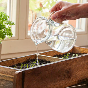 Une main verse de l'eau d'une cruche en verre dans une jardinière en bois avec de jeunes plantes sur un rebord de fenêtre.