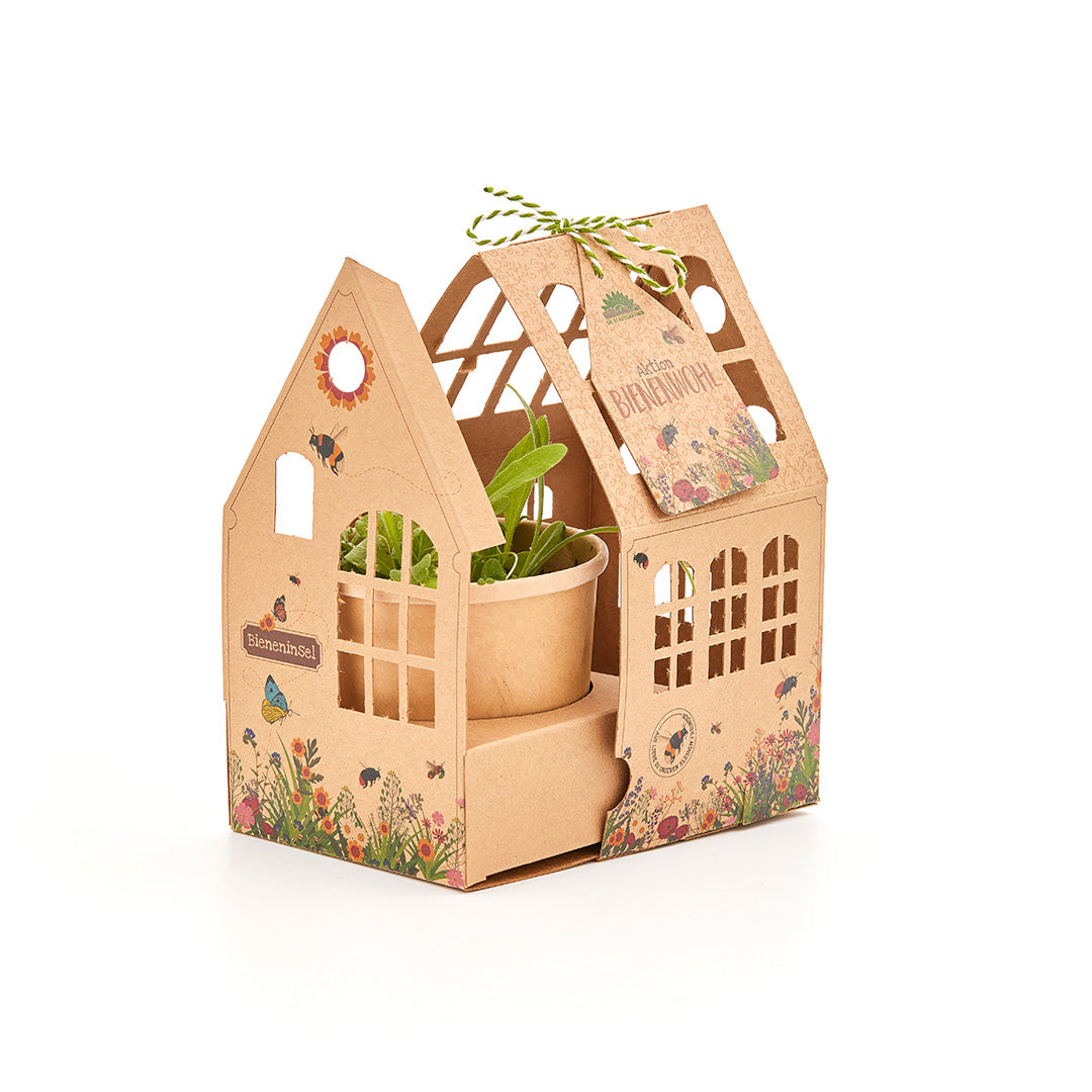Maison en carton à motifs floraux contenant un petit pot de fleurs avec des plantes vertes.