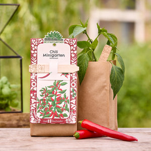 Kit de culture de mini-jardin de piments dans un sac marron avec une plante verte et deux piments rouges sur une table en bois, avec un jardin en arrière-plan.