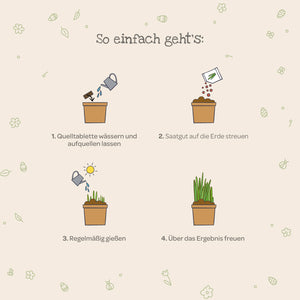 Graphique montrant quatre étapes pour la culture des plantes : arrosez le comprimé de semis, dispersez les graines, arrosez régulièrement et profitez des résultats.