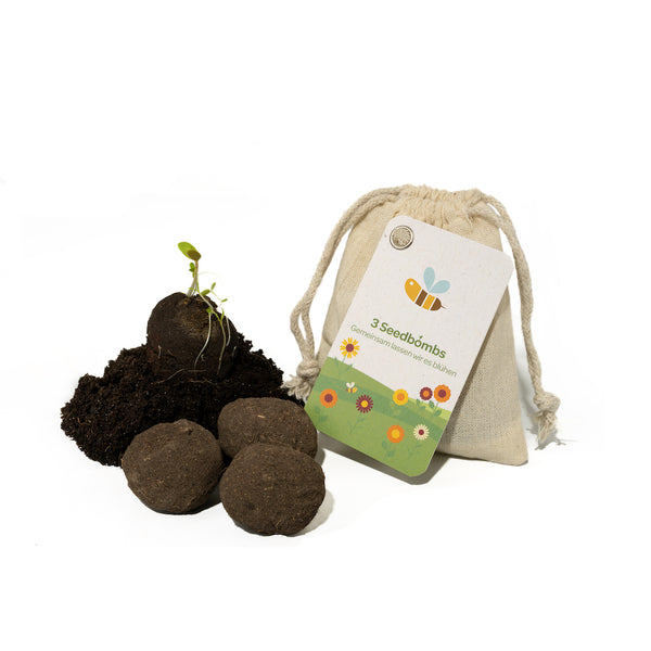 Des bombes à graines avec du terreau et une plante en germination à cÎté d'un sac étiqueté « 3 bombes à graines - Ensemble, nous la ferons fleurir ».