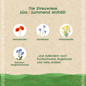 Infographie en allemand avec des images de coquelicots, de bleuets, de camomille des teinturiers et de myosotis d'été ainsi qu'un texte sur d'autres plantes trouvées dans la prairie.