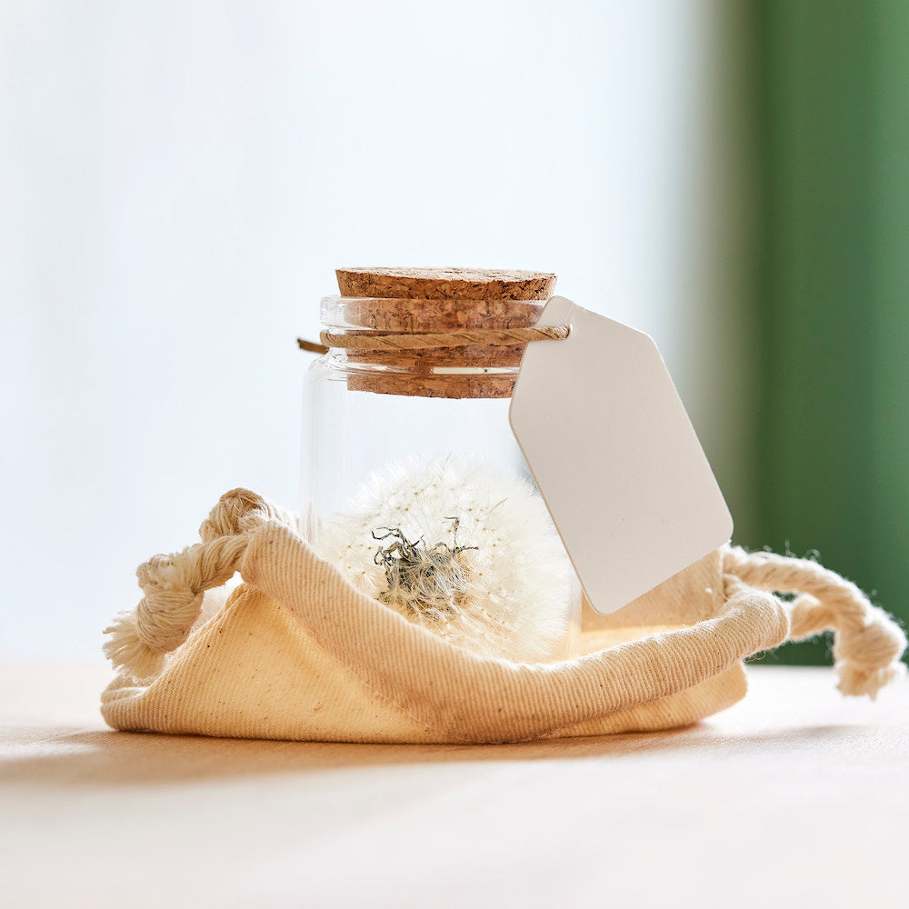 Une tête de graine de pissenlit dans un bocal en verre avec un bouchon et une étiquette, placée dans un sac beige.