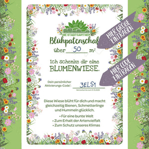 Certificat de parrainage de fleurs avec motif de prairie fleurie, texte pour une prairie fleurie de plus de 50 mètres carrés, champs de code d'activation personnalisés, cadres colorés avec des fleurs et flèches indiquant « Entrez la taille ici » et « Entrez le code ici ».