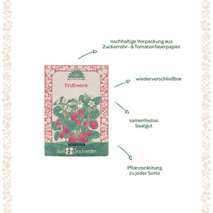 Sachets de graines de fraises avec emballage durable, graines à pollinisation libre, emballage refermable et instructions de plantation.