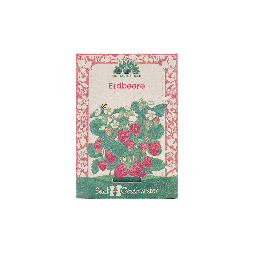 Sachet de graines de fraises avec une image d'un fraisier, de fleurs et de fruits sur l'étiquette.