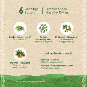 Graphique avec six légumes différents : pois mange-tout, concombre cocktail, fraise, carotte, tomate et physalis, chacun avec des noms allemands et botaniques, sur un fond beige.