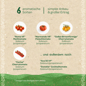 Six variétés de tomates aromatiques (Roma VF, Marmande VR, Jaune en forme de poire, Cerise, Ace 55 VF, Sweetie) avec photos et noms en allemand, adaptées à une culture facile et à un rendement élevé.