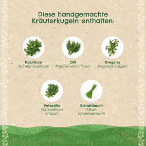 Image avec cinq herbes différentes : basilic, aneth, origan, persil et ciboulette, chacune avec son nom botanique et le texte « Ces boules d'herbes faites à la main contiennent. »