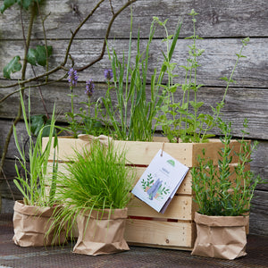 Jardin d'herbes aromatiques dans une boîte en bois et deux sacs en papier devant un mur en bois.