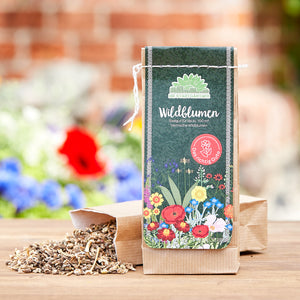 Sachet de graines de fleurs sauvages sur une table en bois avec des graines renversées et un arrière-plan de jardin flou.