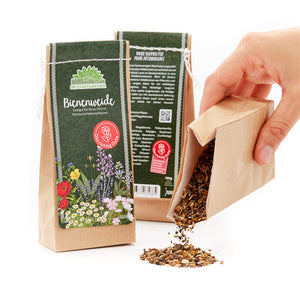 Sachets de graines de fleurs sur fond blanc, avec des graines débordant d'un sachet ouvert.