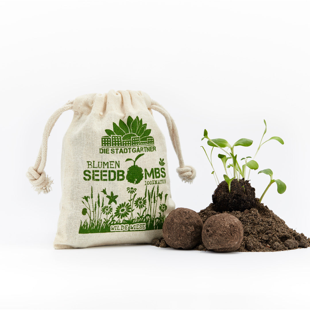 Sac en tissu avec imprimé « The City Gardeners Flower Seedbombs » à côté de terre et de plantes en germination.
