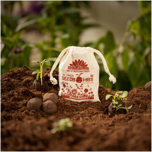 Un sac étiqueté « Bombes de graines de fleurs » sur un sol fertile à côté de semis et de bombes de graines.