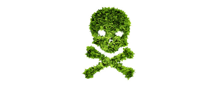 Plantes toxiques pour les enfants