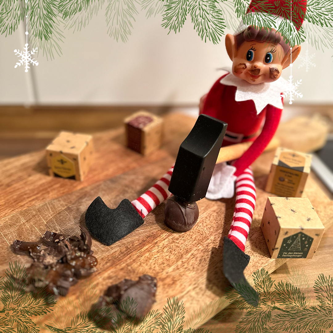 Elf on the Shelf Ideen