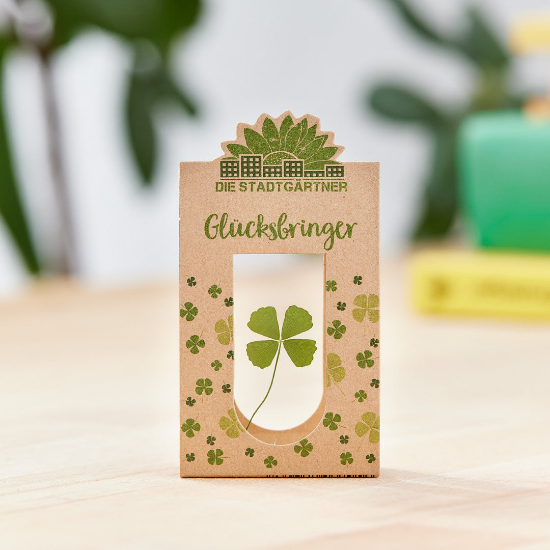 Kleine Silvestergeschenke