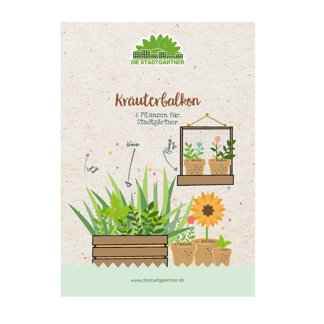 Illustration d'un concept de jardin d'herbes aromatiques pour le balcon avec une sélection de plantes et une adresse de site Web.