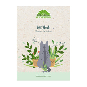 Illustration d'un chat gris se retournant parmi les plantes d'intérieur sur un dépliant de « Die Stadtgärtner » intitulé « Kittikat - Plantes pour chats ».