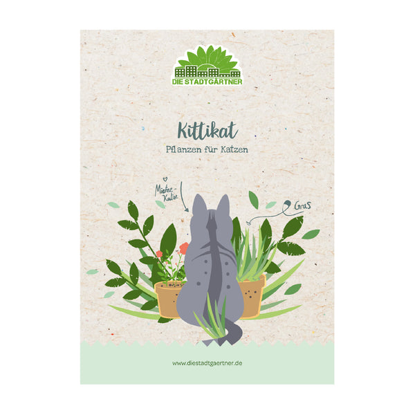 Illustration d'un chat gris se retournant parmi les plantes d'intérieur sur un dépliant de « Die Stadtgärtner » intitulé « Kittikat - Plantes pour chats ».
