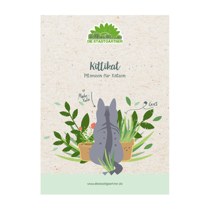 Illustration d'un chat gris se retournant parmi les plantes d'intérieur sur un dépliant de « Die Stadtgärtner » intitulé « Kittikat - Plantes pour chats ».